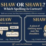 shaw or shawl